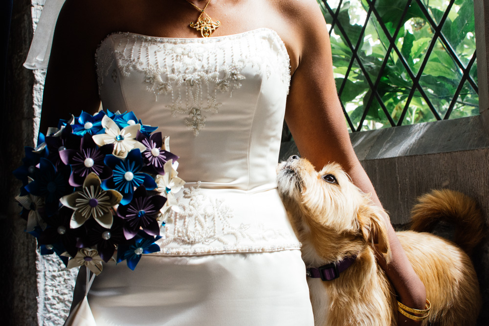 wedding-bridal-photos-dog-walk