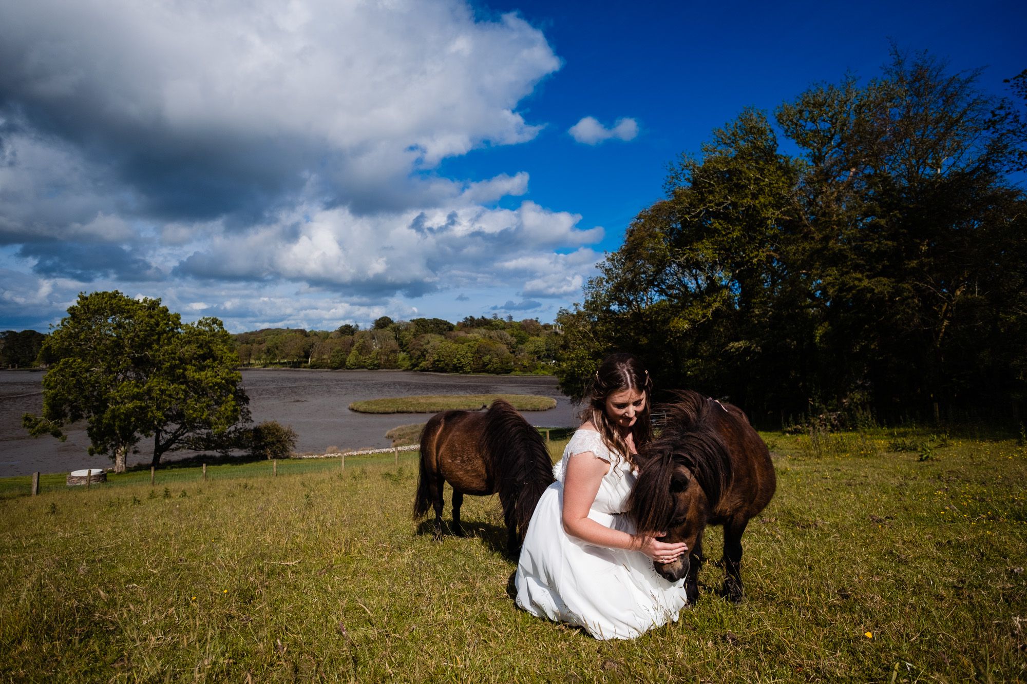 inish-beg-wedding-ponies