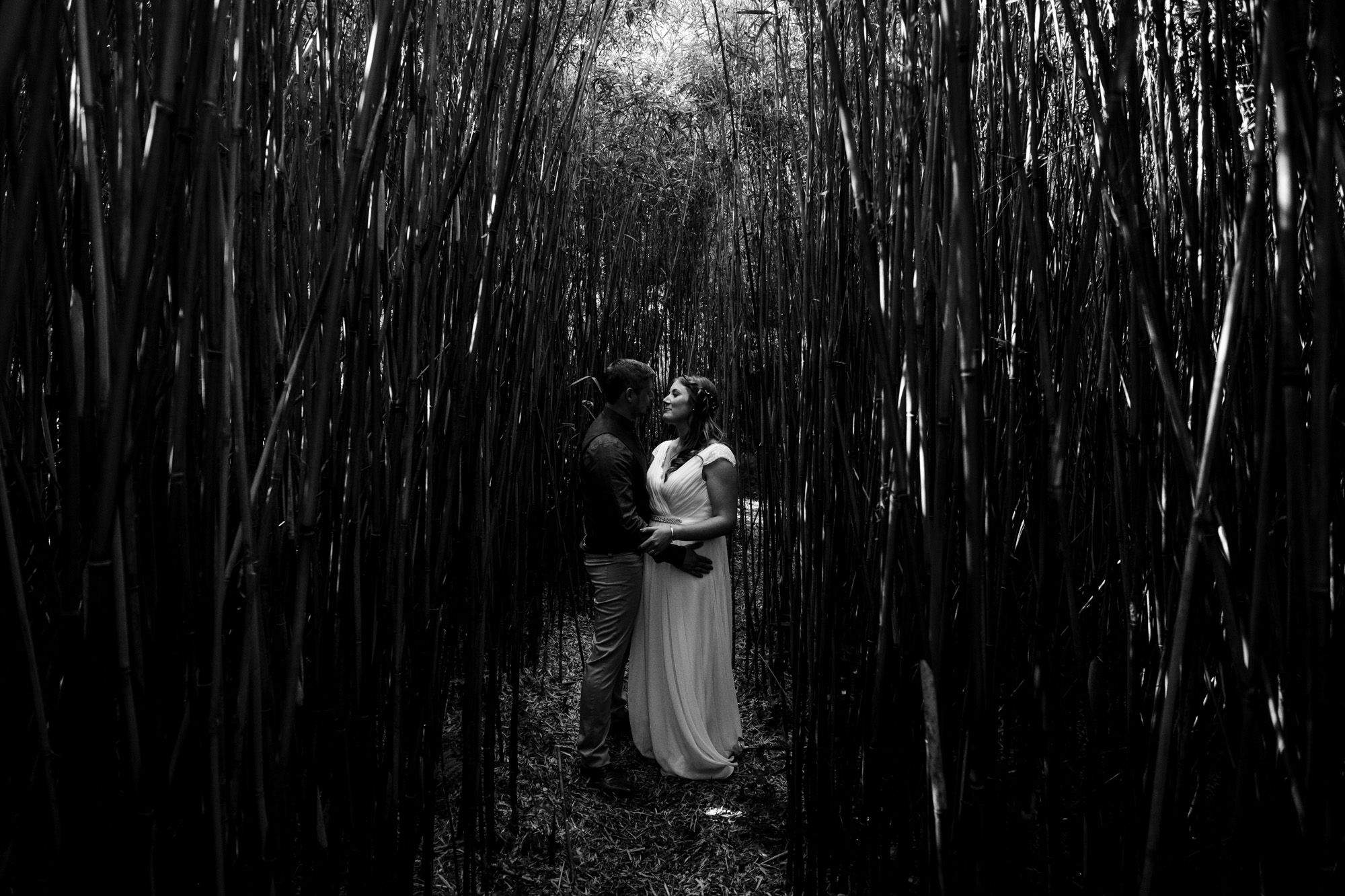 inish-beg-wedding-bamboo-forest-bride-and-groom